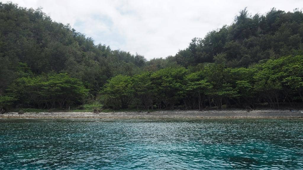 Secluded Beach Vibes