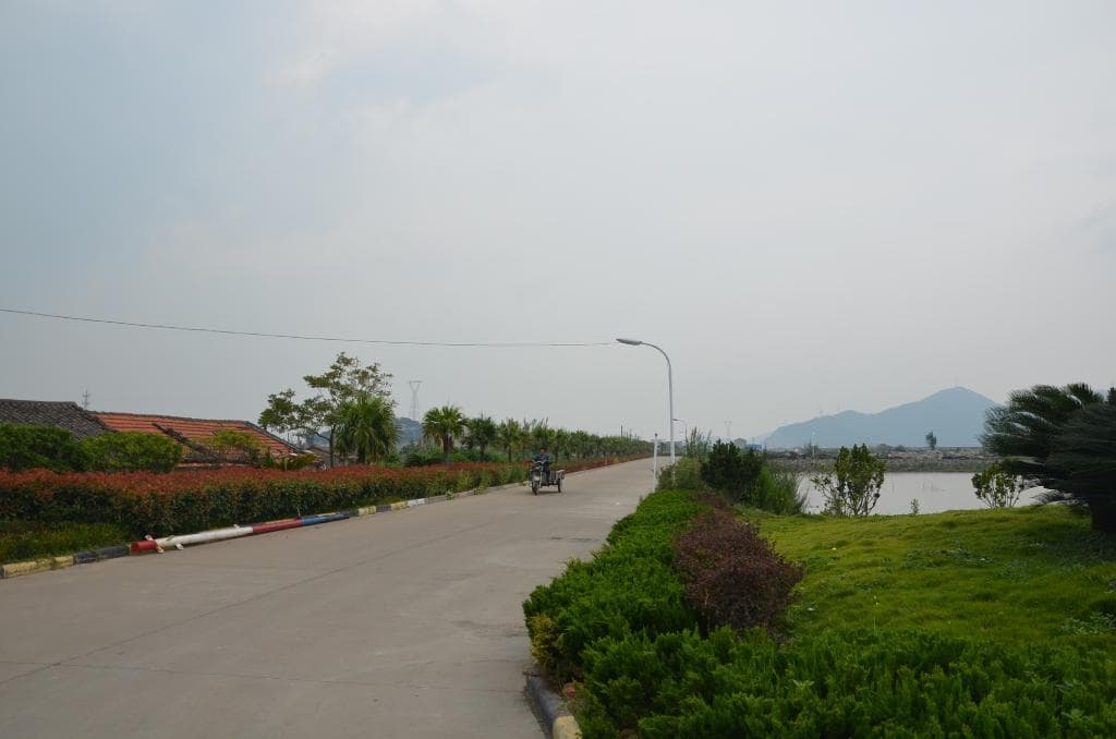 The street.