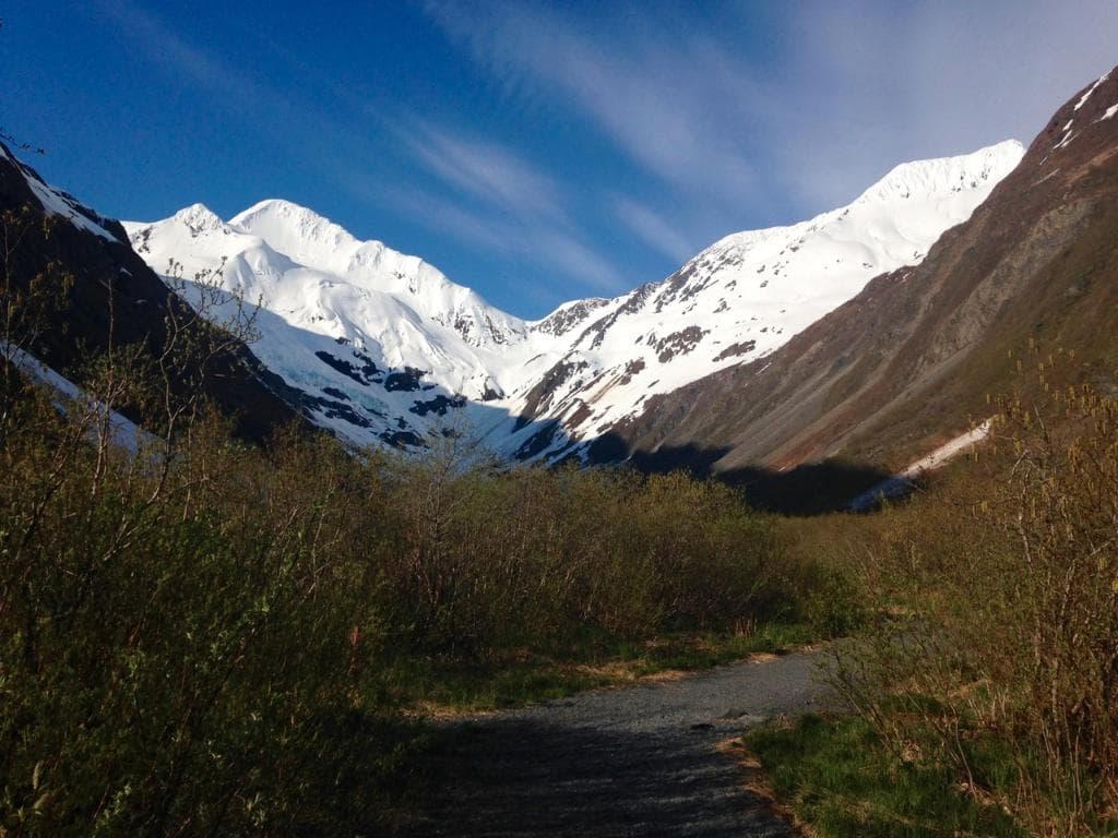 Byron Glacier trail - walking into the valley, looking at the glacier (5/14/2016)