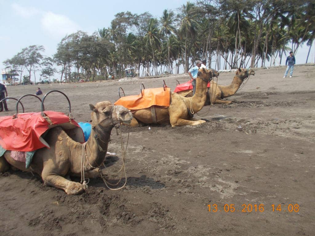 Arnala Beach