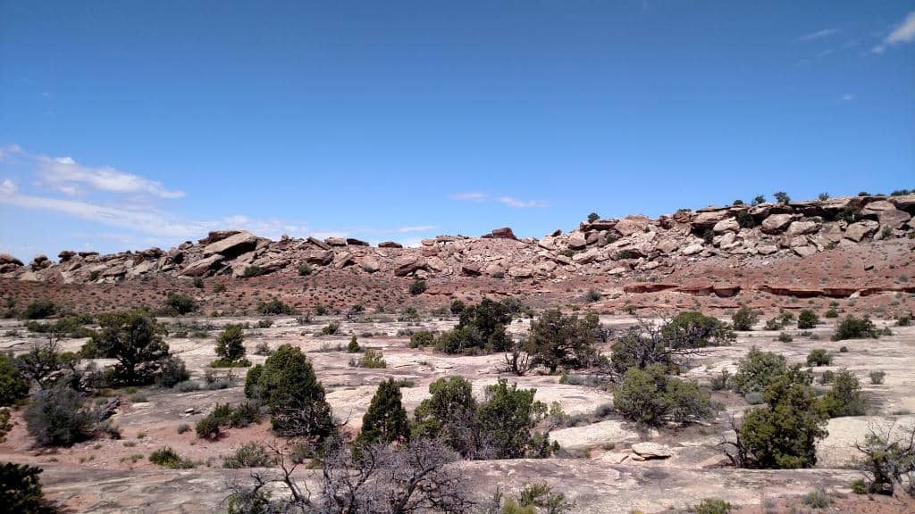 Jurassic Trail