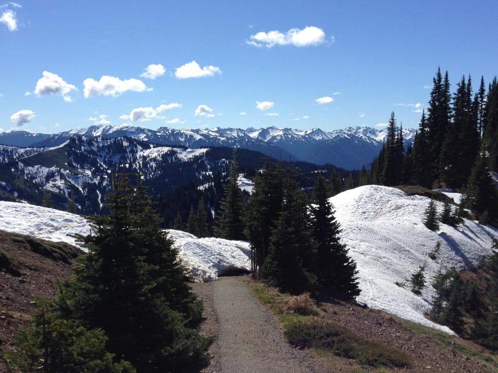 Hurricane Ridge