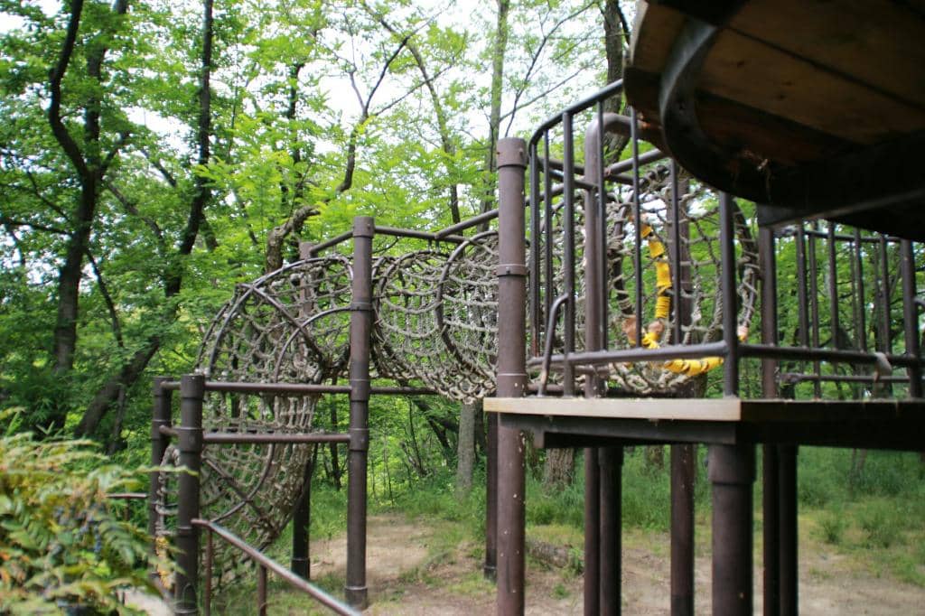 Scenic Lookout Tower