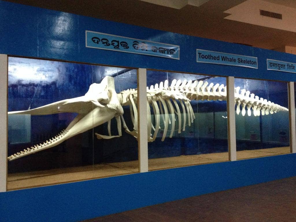 Biodiversity Galleries