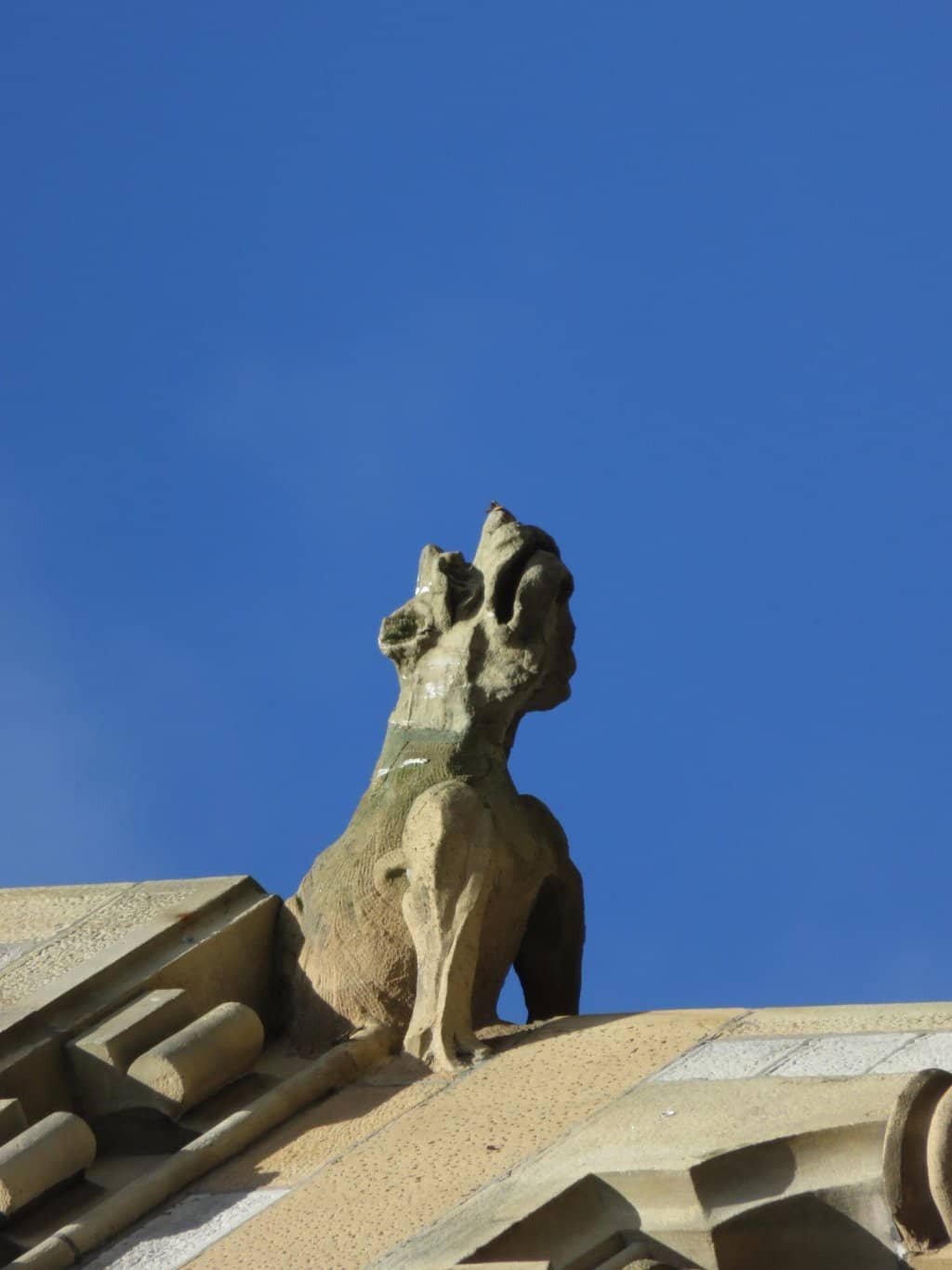 Panoramic Town Views