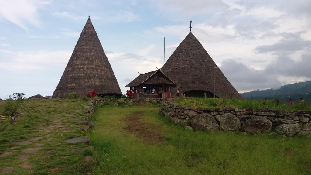 The cone shaped houses in Tado village is the origin of the traditional house in Manggarai