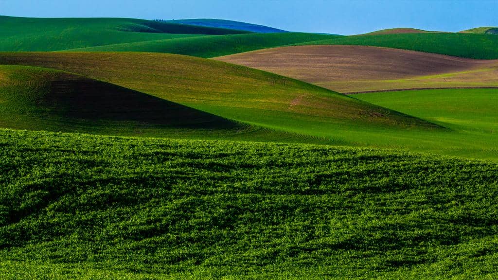 Panoramic Palouse Views