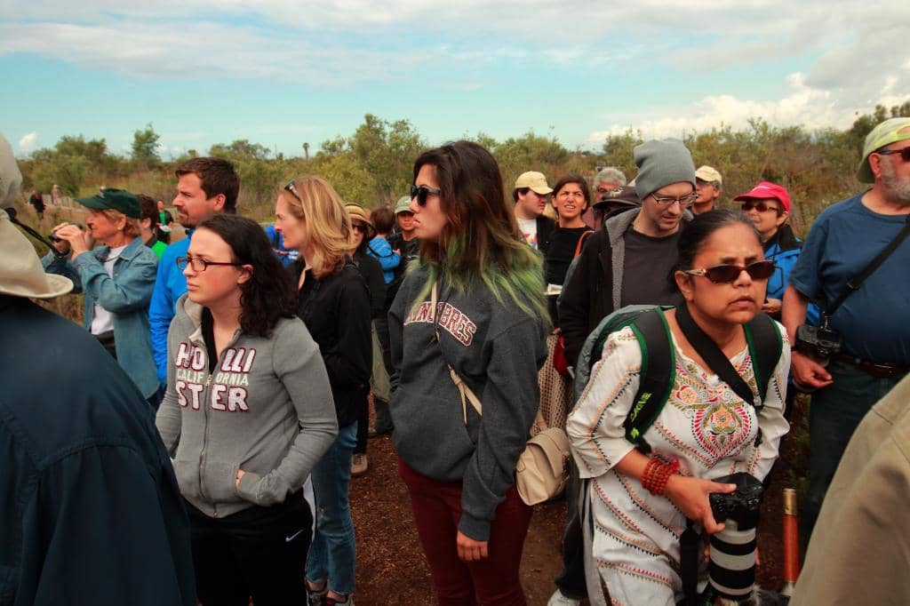 Birdwatching Paradise