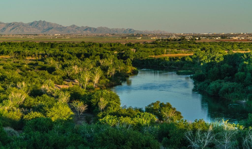Looking out over Colorado River wetlands