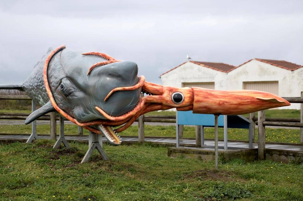 Maritime Heritage Museum