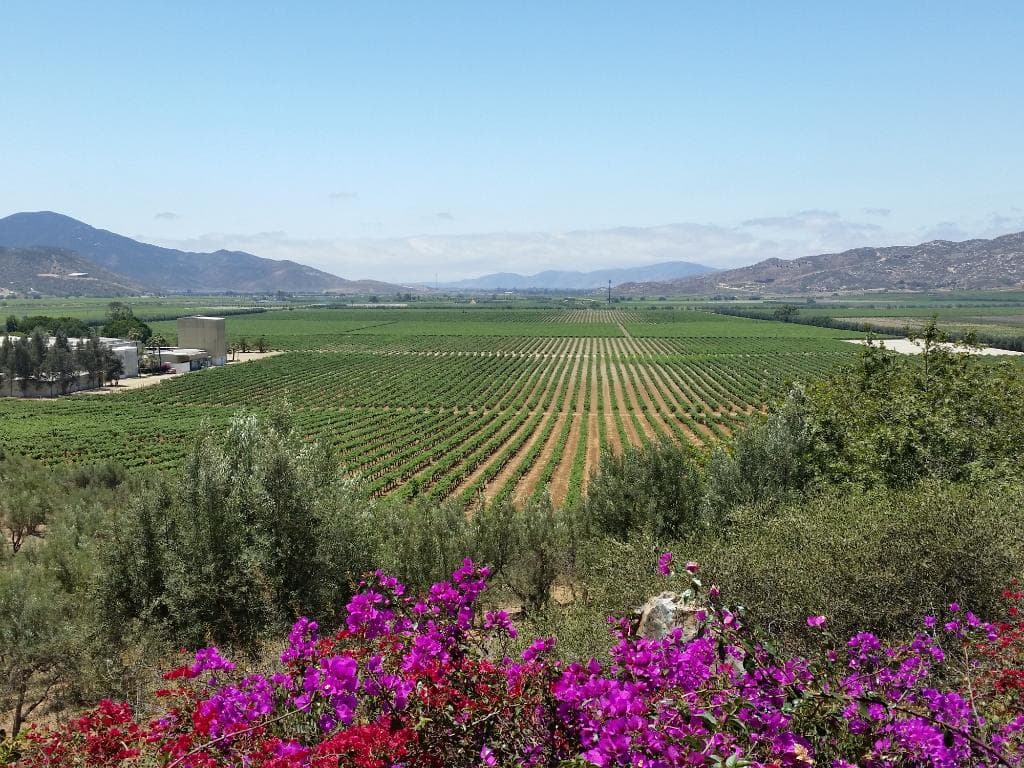 Lovely view from the terrace of the whole valle.