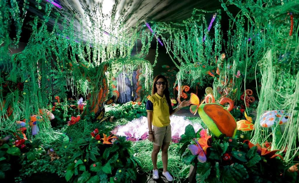 Enchanted Forest walk-in 3d room