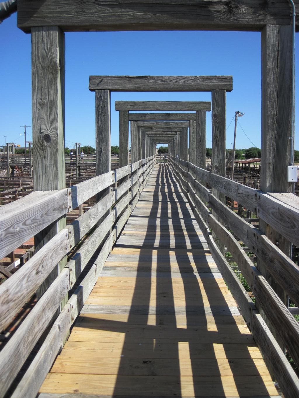 Boardwalk above the maze
