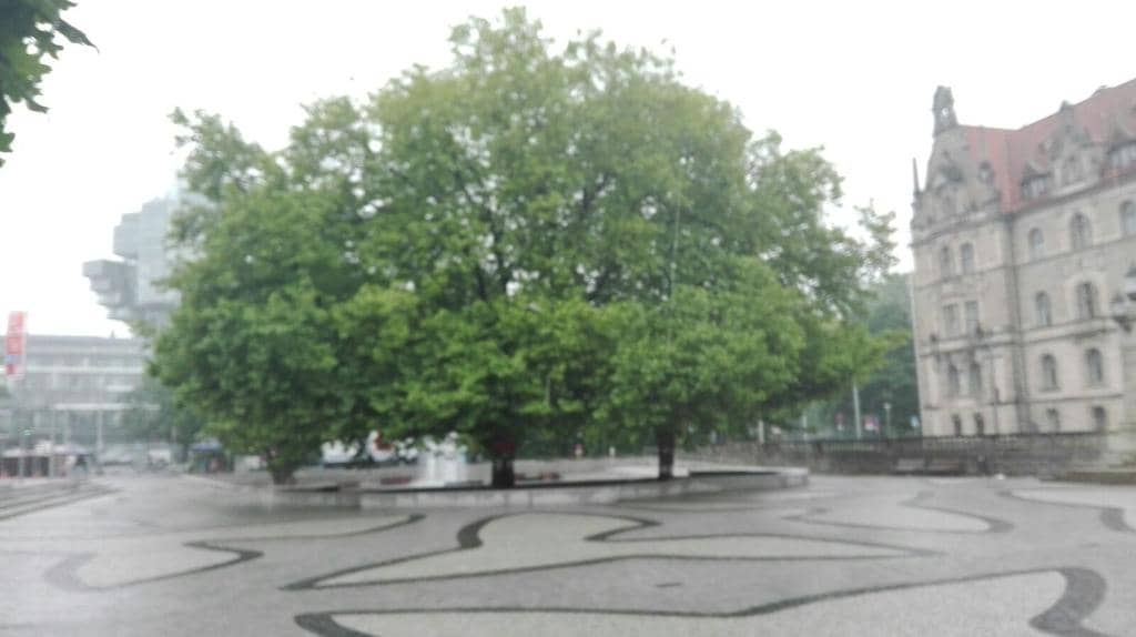 New Town Hall (Neues Rathaus)