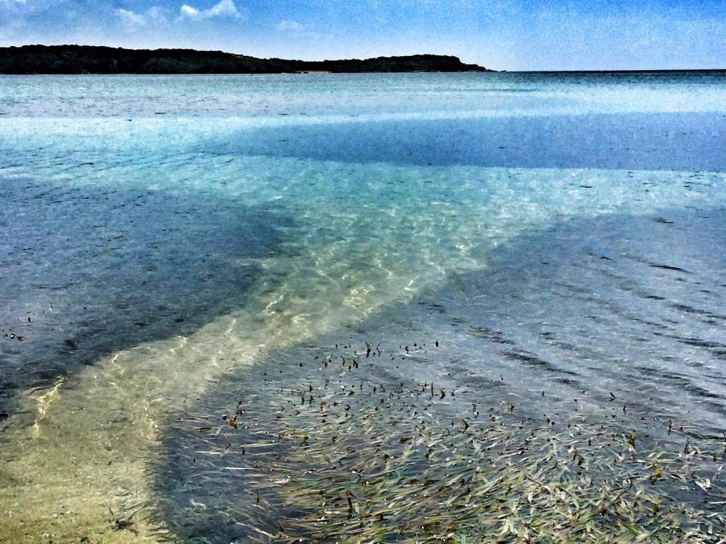 Seven Seas Beach Fajardo