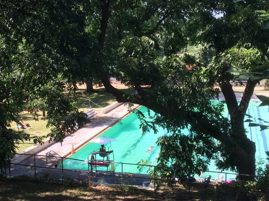 View of Deep Eddy Pool