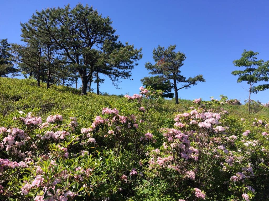 Scenic Ski Lift Ride