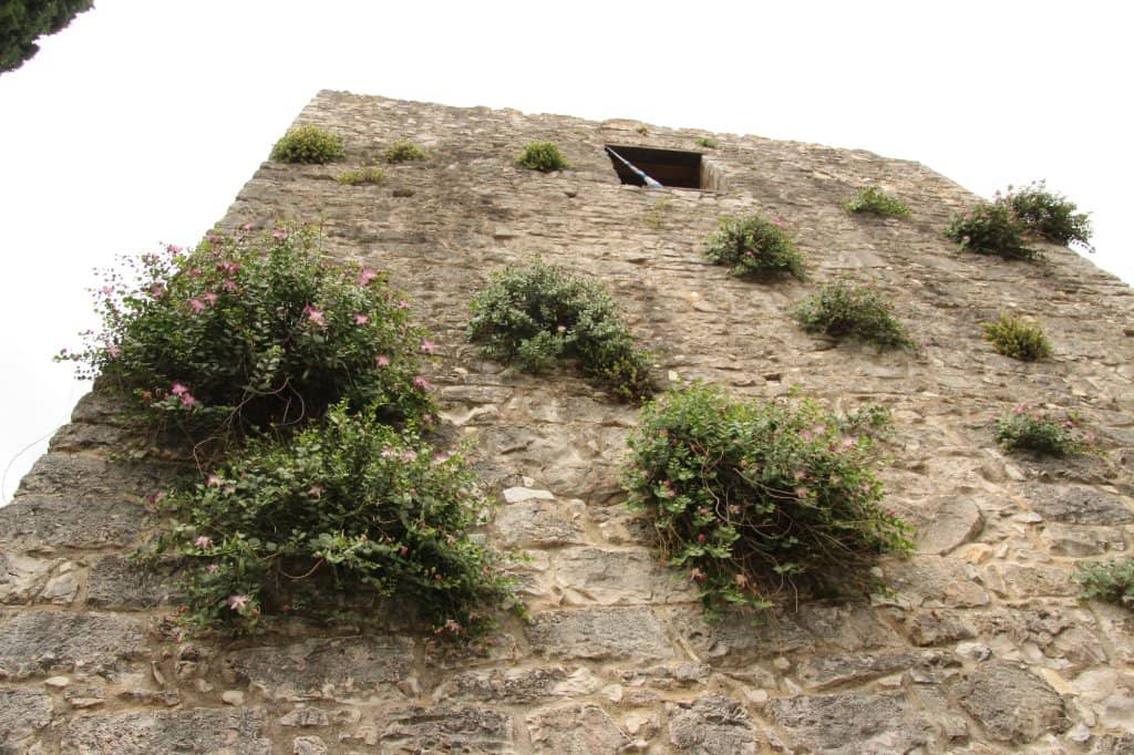 Vertical photo