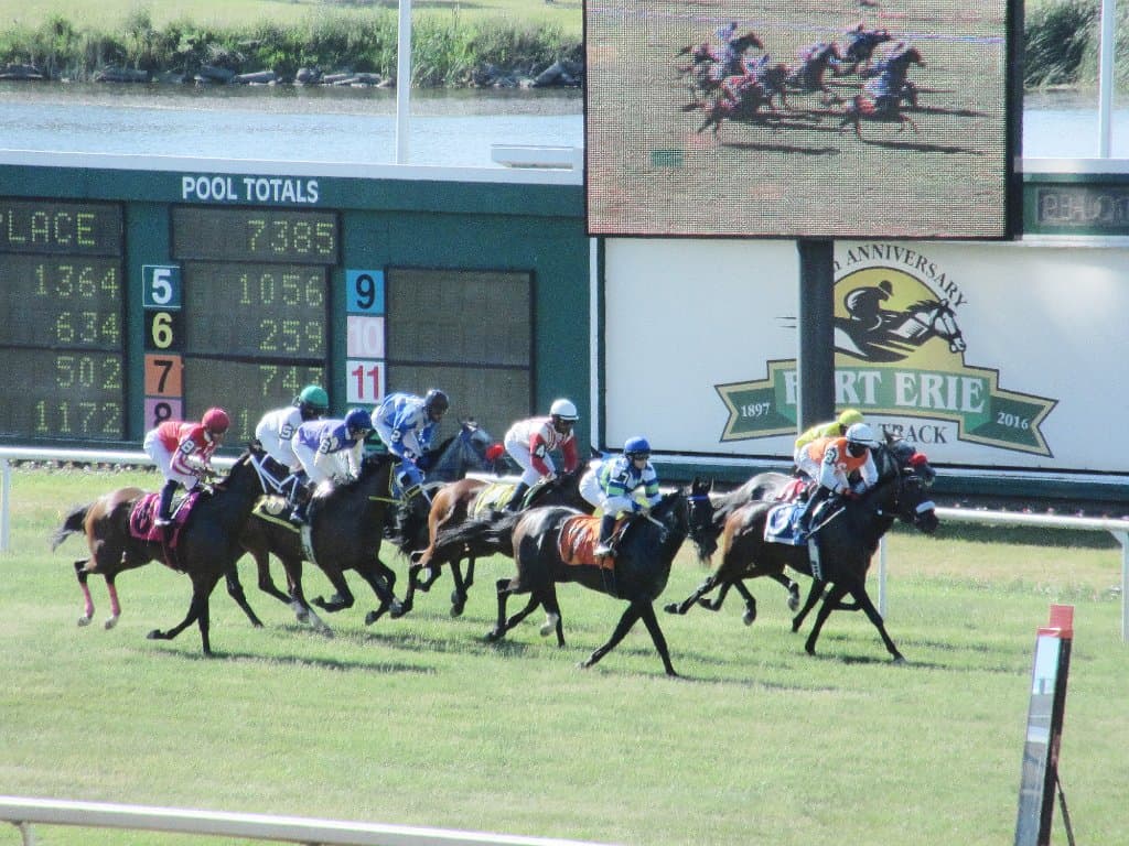 Some of the races are run on the turf.