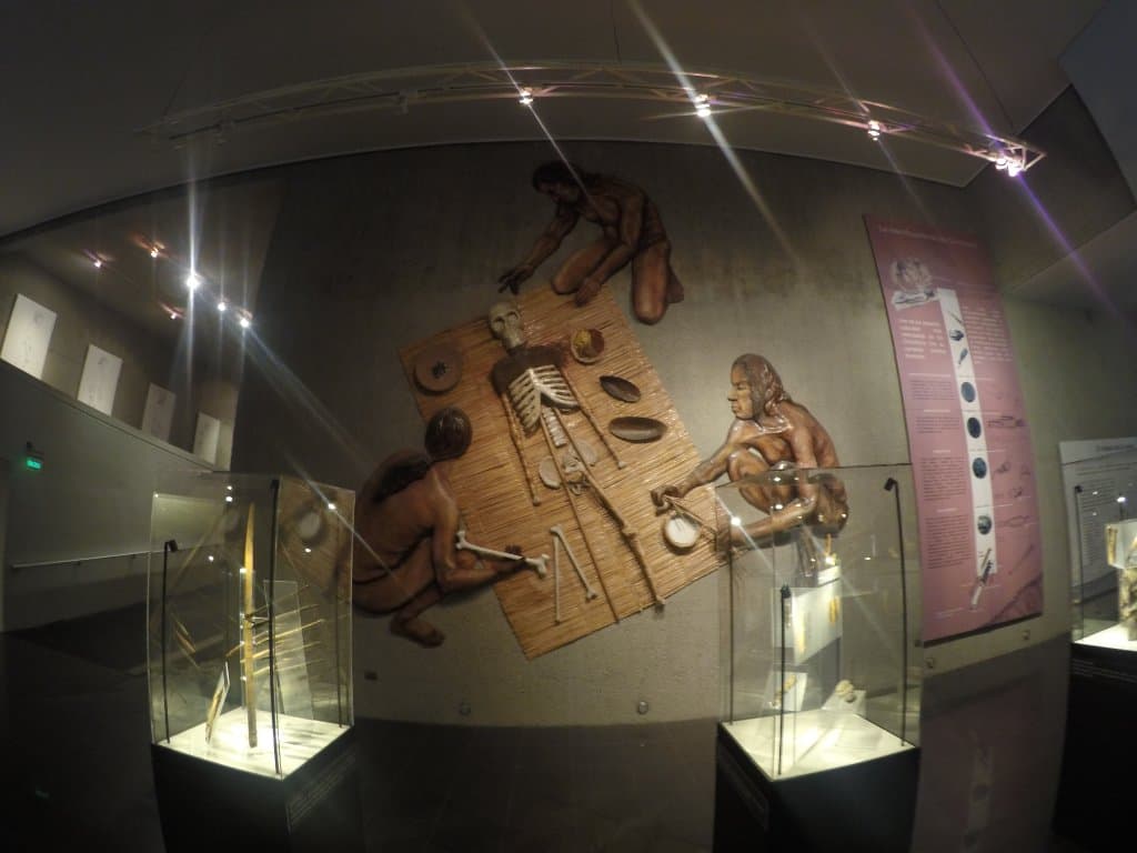 Museo Momias Chinchorro