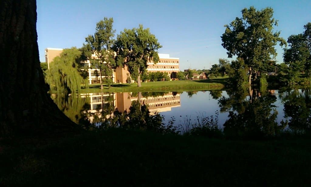 University of Michigan–Flint