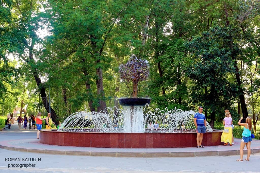 Greenery and Pathways