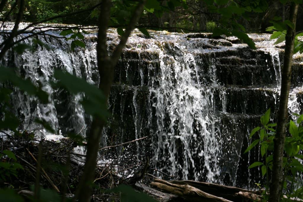 Cascading Beauty