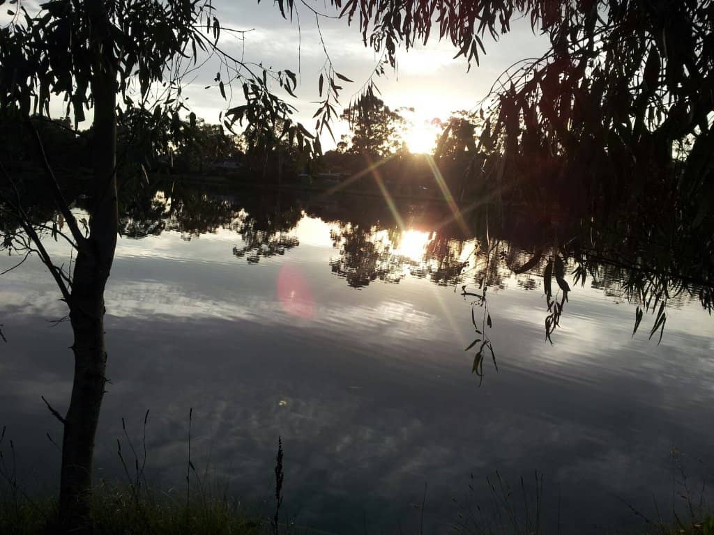 Vertical photo