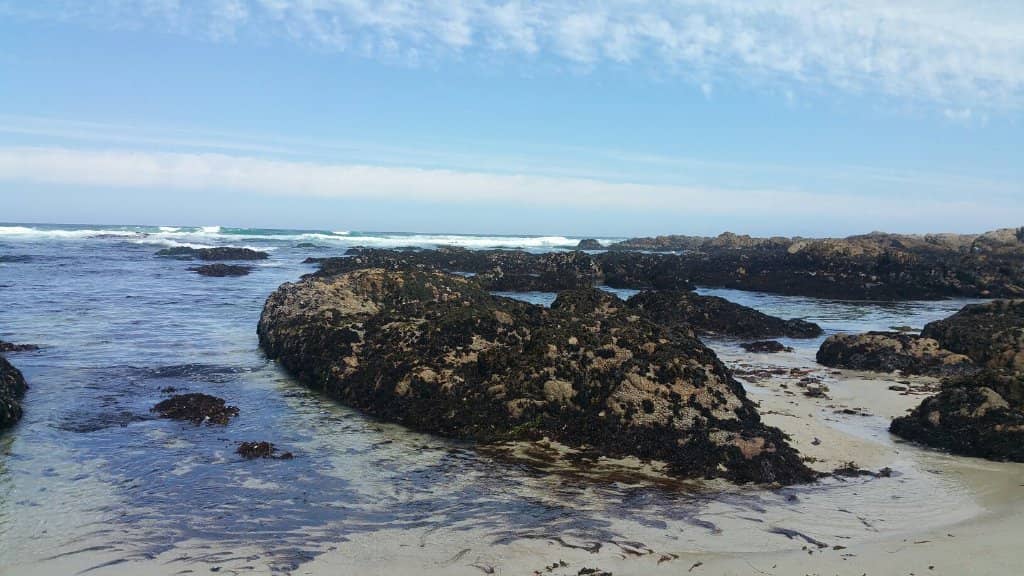 Scenic Coastal Walking Trail