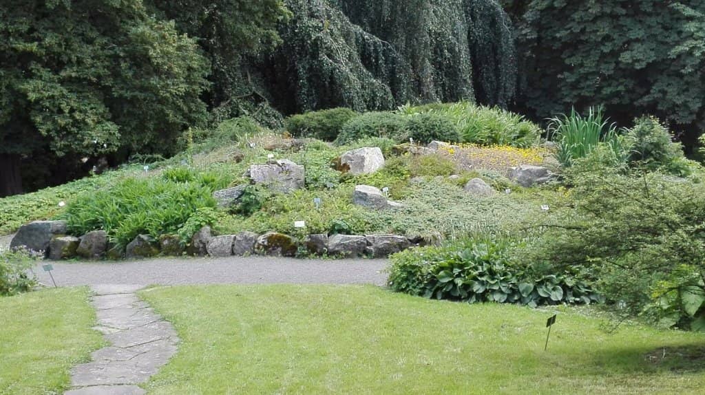 Diverse Plant Collections