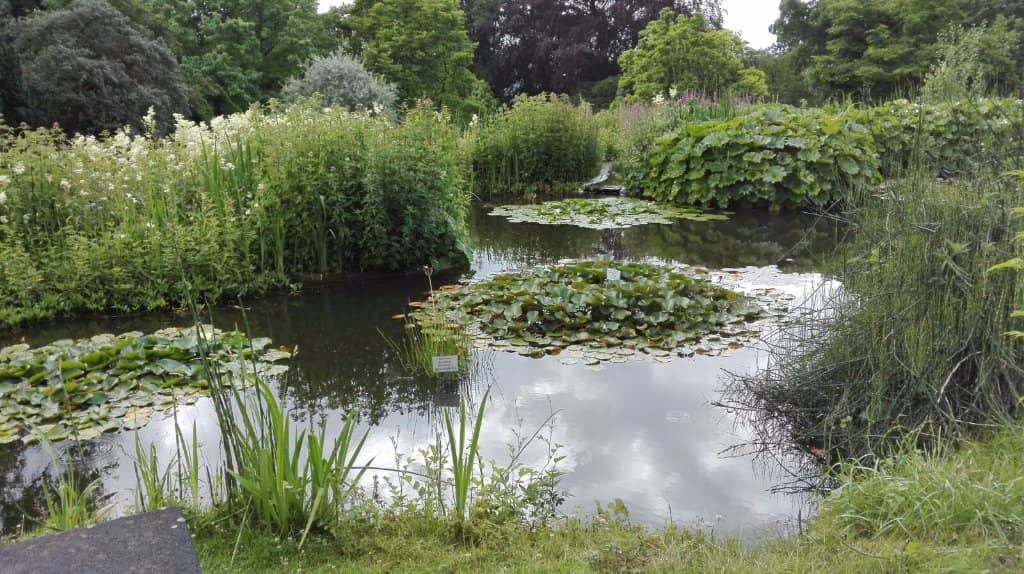 Tropical Butterfly House