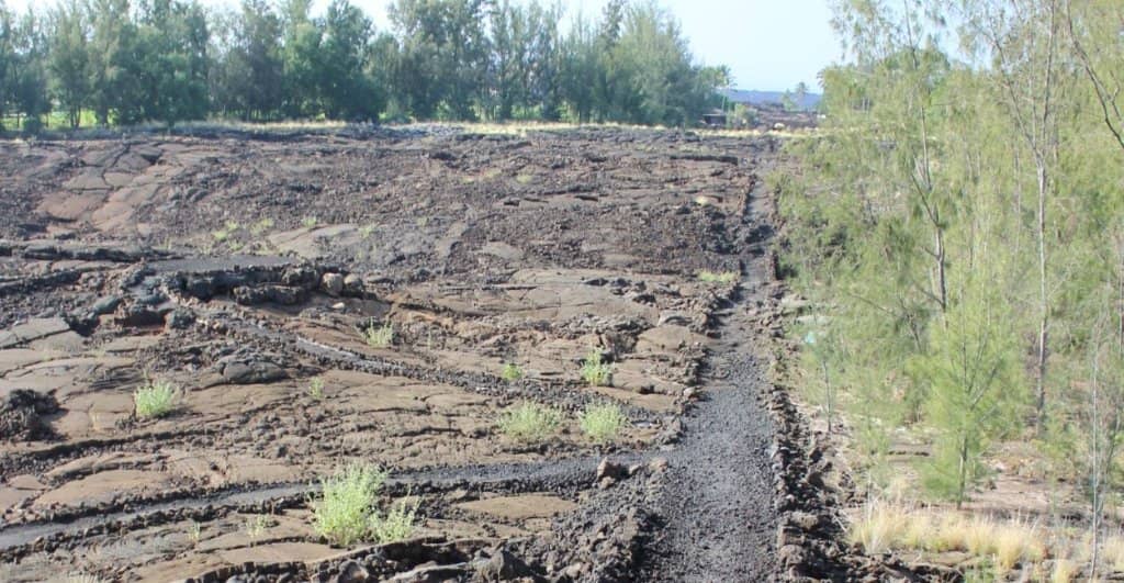 Lava Rock Trails