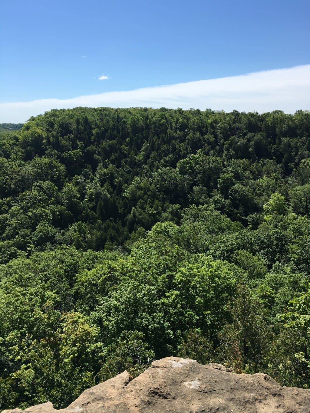 Beamer Memorial Conservation Area