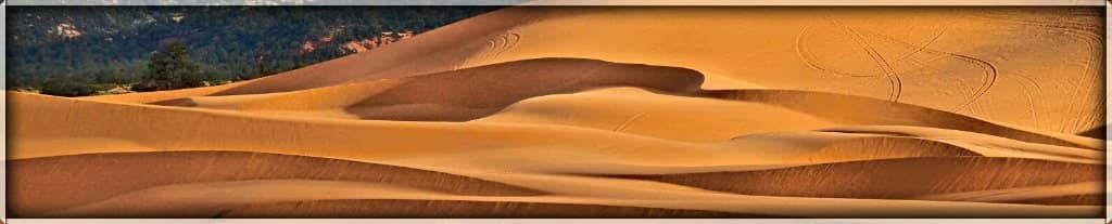 Sandboarding & Sledding