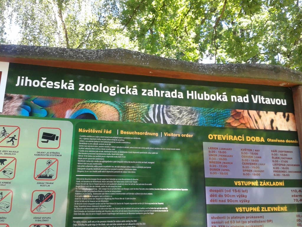 Goat Petting Area