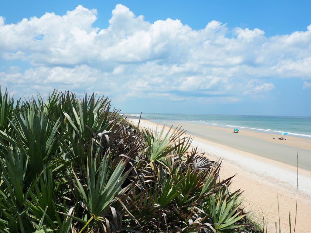 the beach line