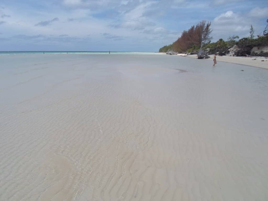 Expansive Low-Tide Sandbars