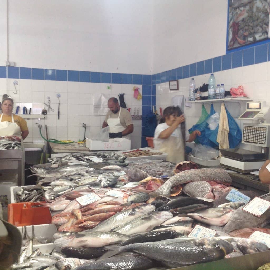 The Freshest Catch