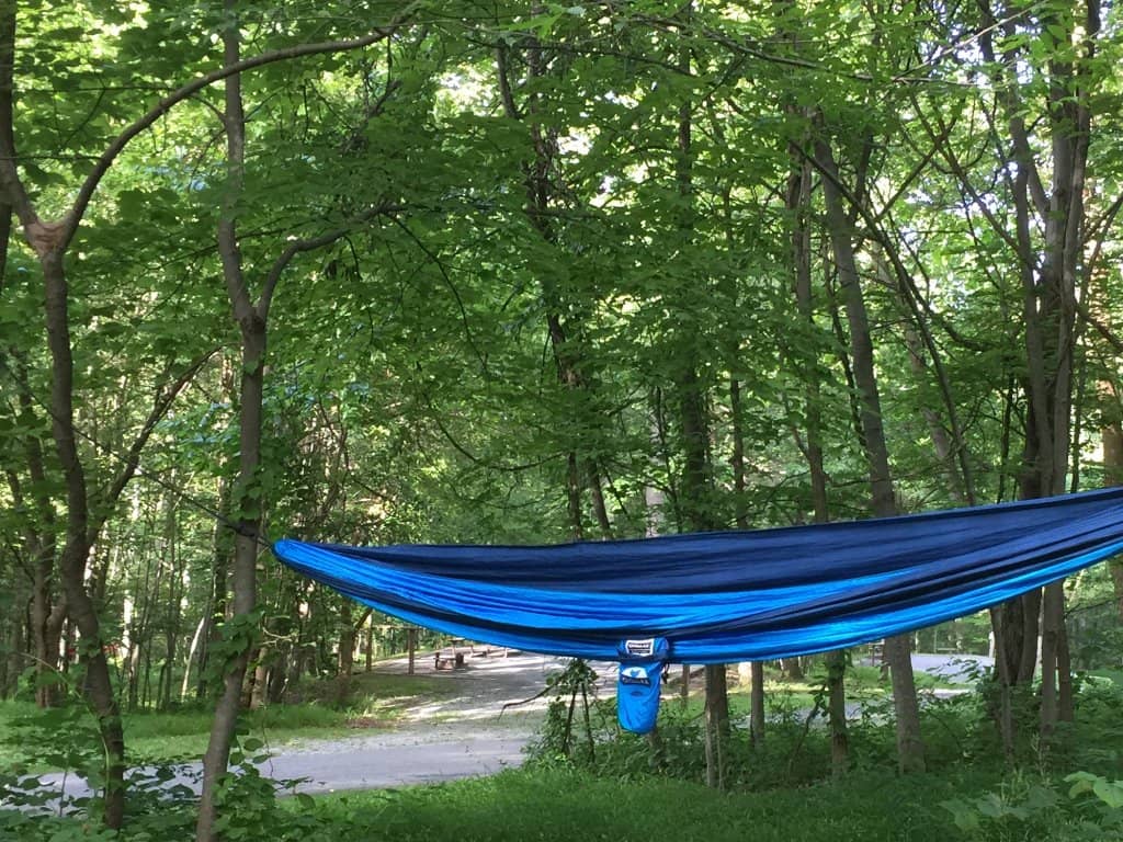 Pet-Friendly Camping Loop