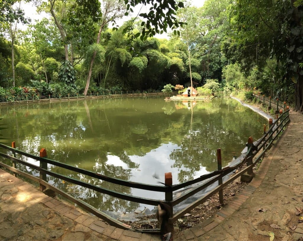 Jardín Botánico Eloy Valenzuela
