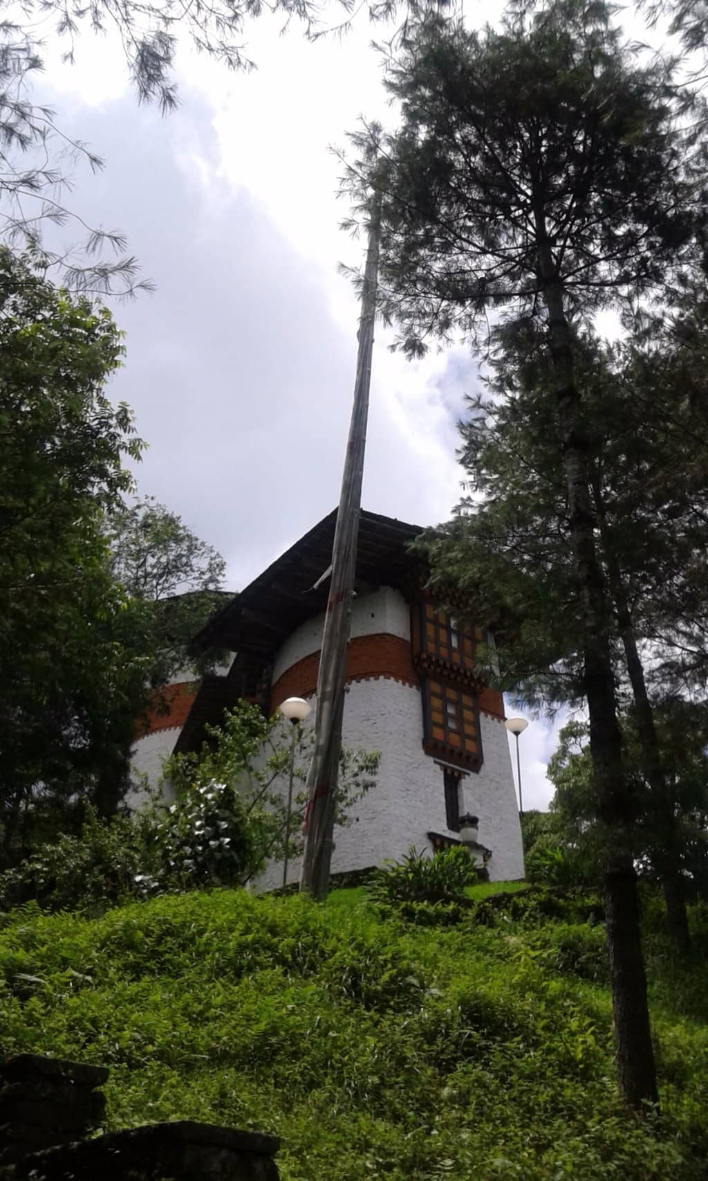 Wildlife & Stamp Collections