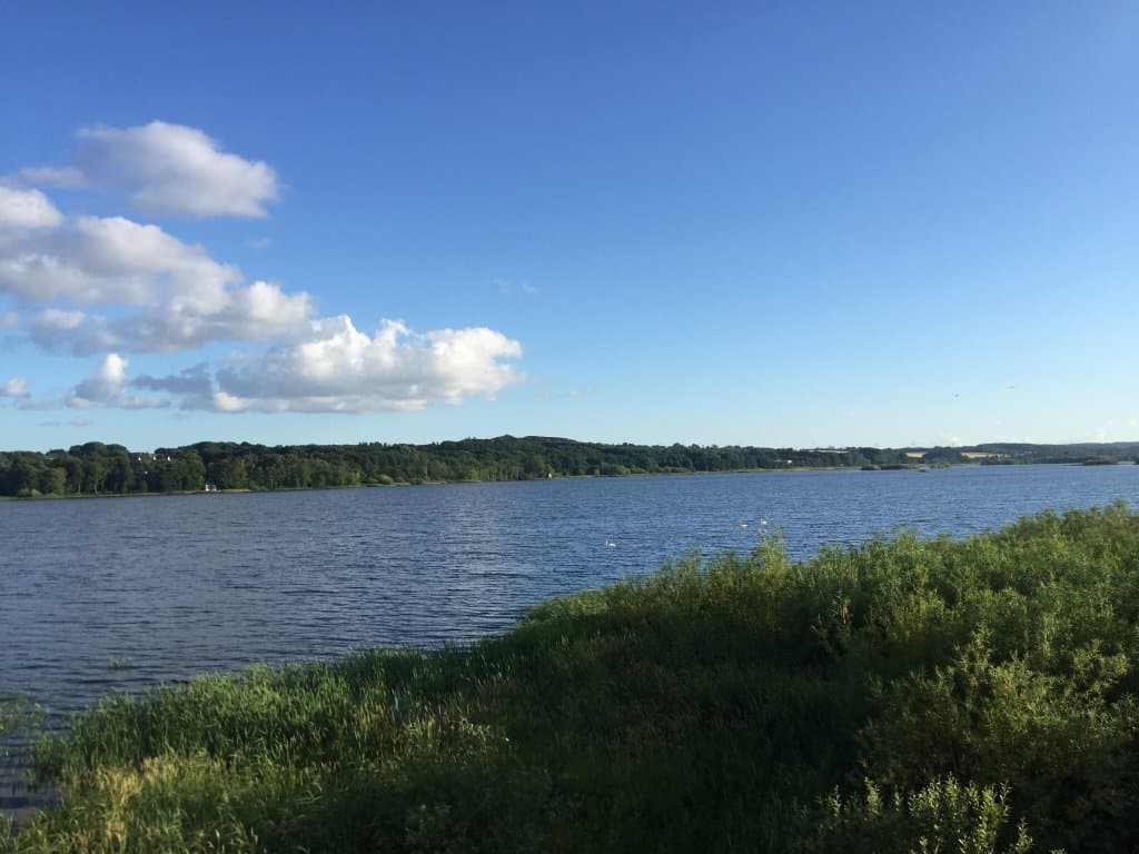 Årslev Engsø