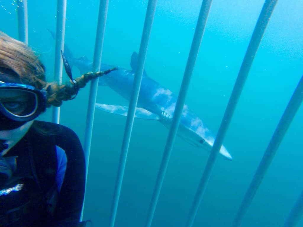 Tranquil Block Island Sound