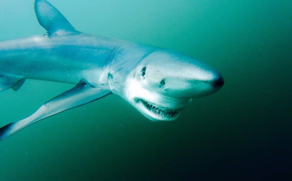 Spectacular Sunset Views