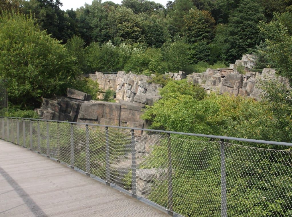 Blick von der Sambatrasse ins Raubtiergehe des Zoos