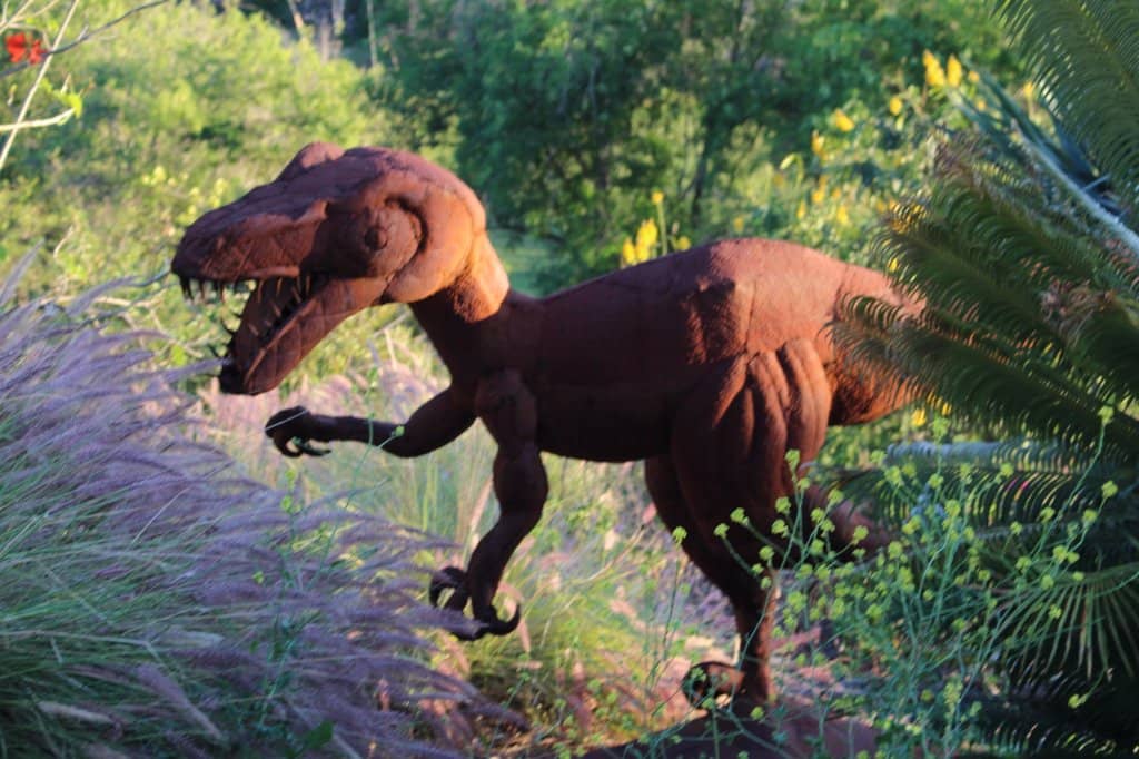 Children's Discovery Garden