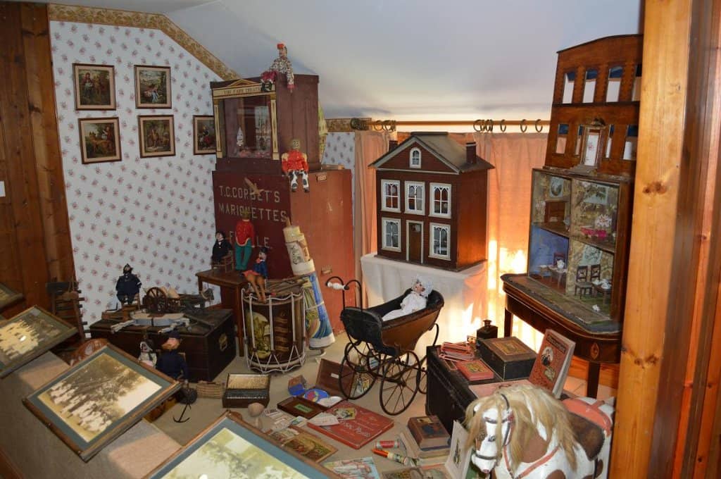 Island Life Exhibits