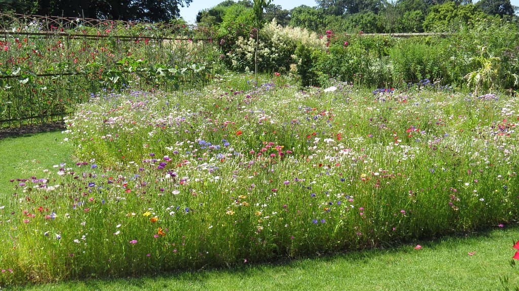 Deer Park