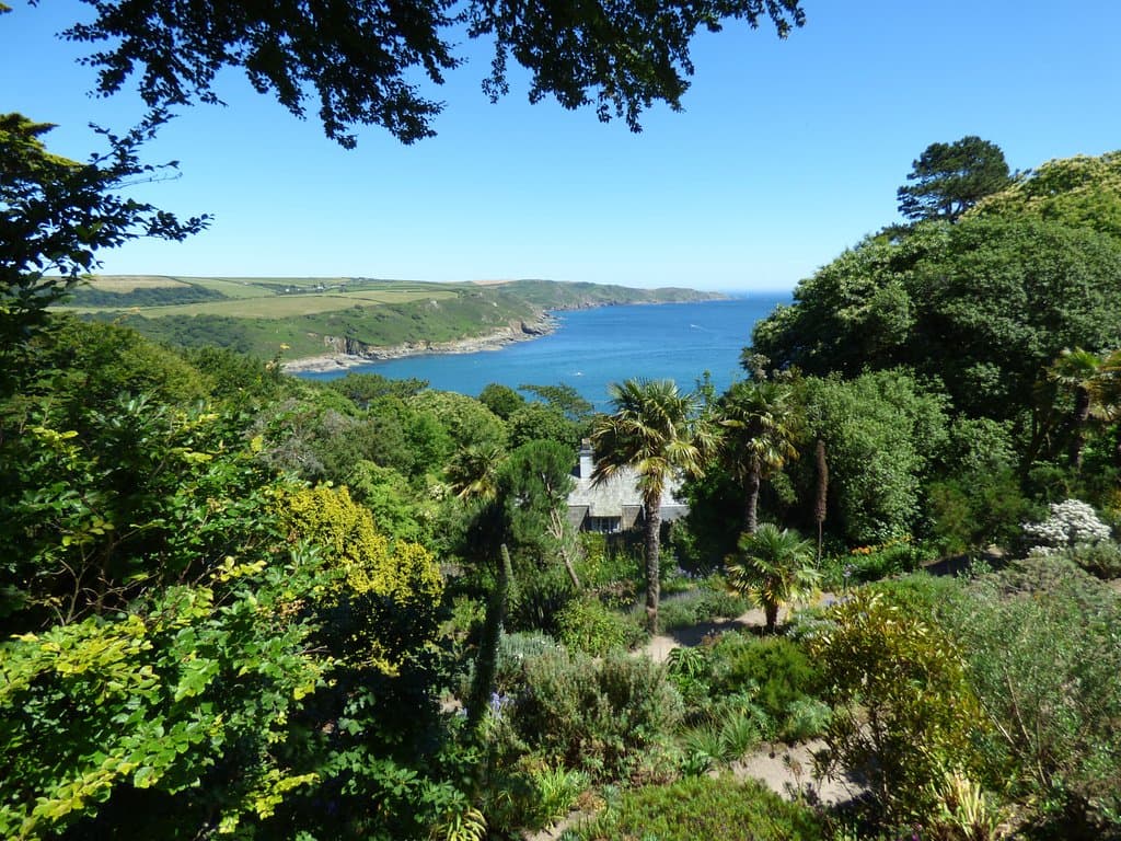 View from house
