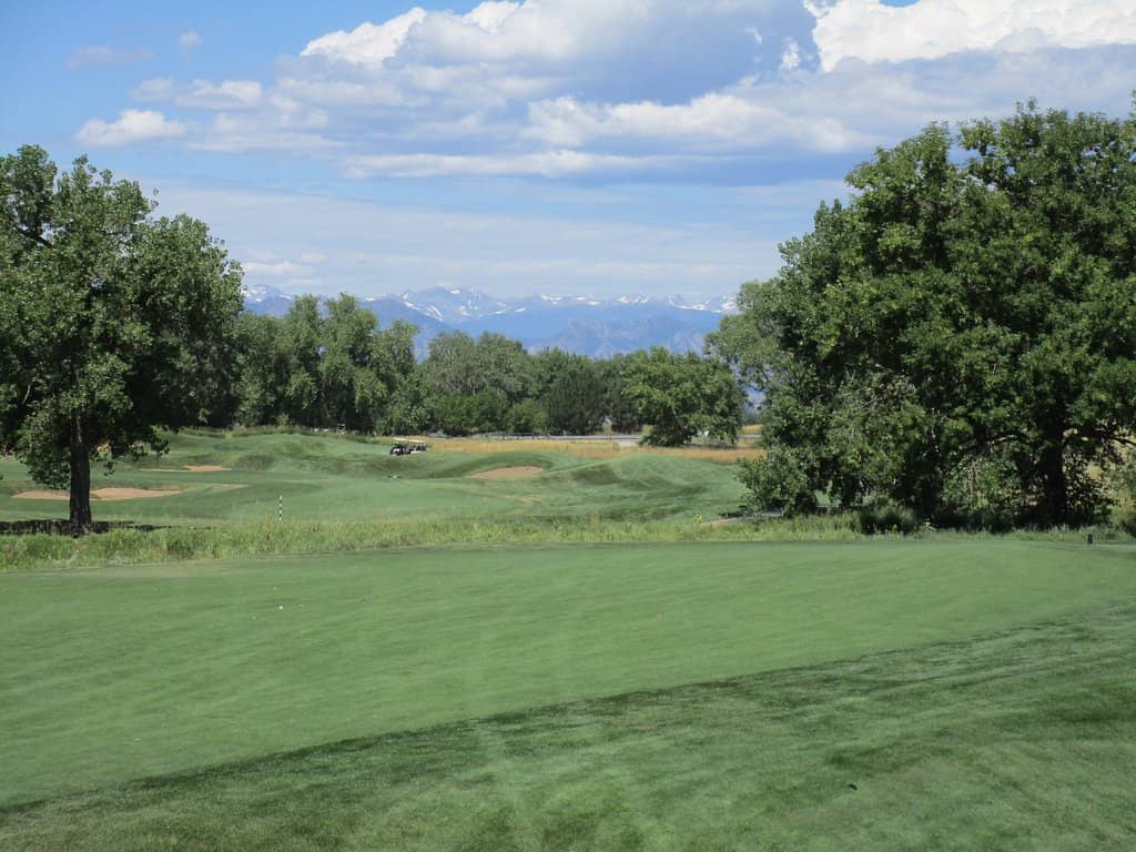 Challenging Links-Style Layout